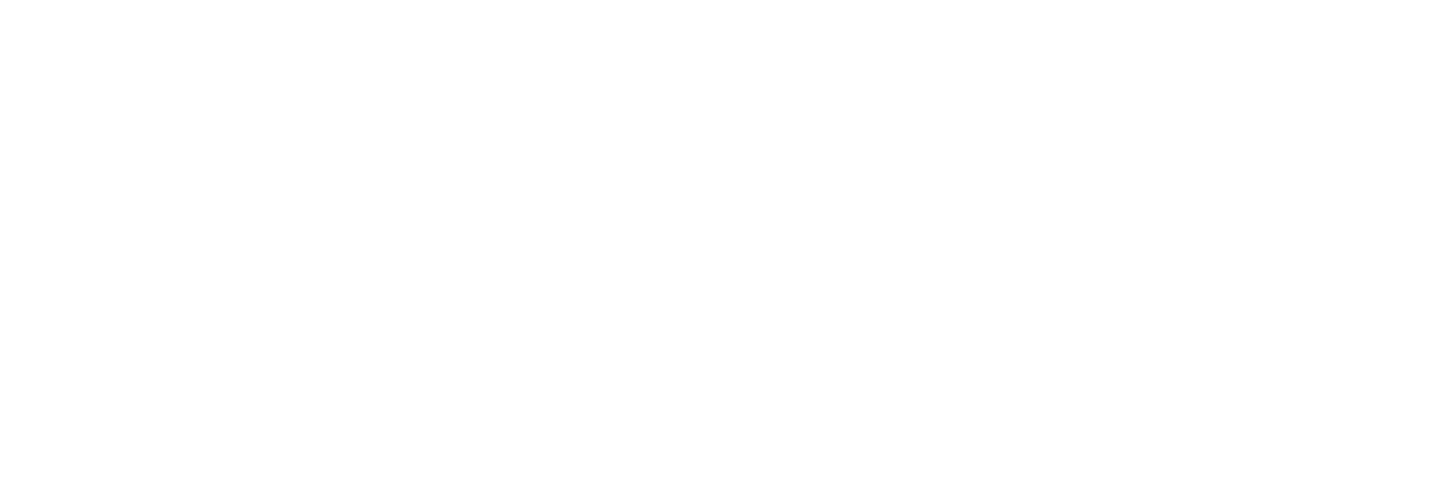 Sektor D Logo